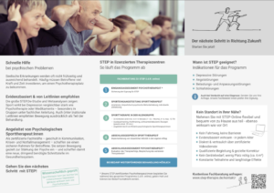 Faltflyer STEP